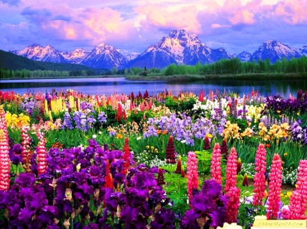 Flores-montañas-y-lago